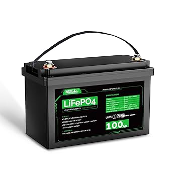 スマート リン酸鉄リチウムイオンバッテリー100AH 12V 専用モニター付き LiTime 51.2V 100Ah蓄電池太陽光用リン酸鉄リチウムイオン